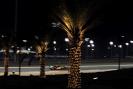 2014 GP GP Bahrajnu Piątek GP Bahrajnu 66