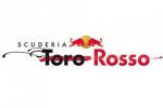 Pechowy wyścig dla Toro Rosso