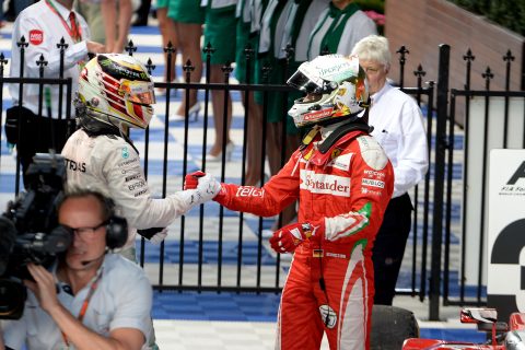 Vettel był zdekoncentrowany przez mewy...